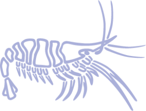 partyservice-kopp-logo3 Partyservice-Kopp